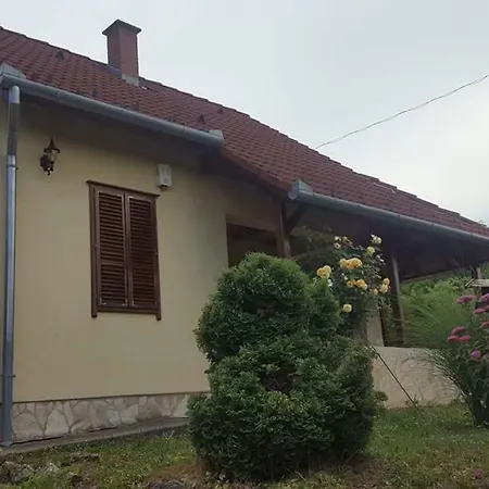 Buzavirag Apartman *